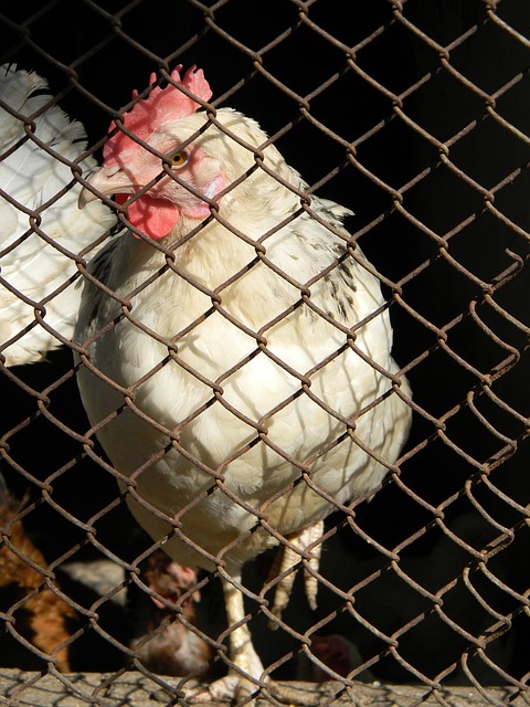 壹号娱乐官网：跑马拉松可以改变人类的大脑结构丨一周科技.