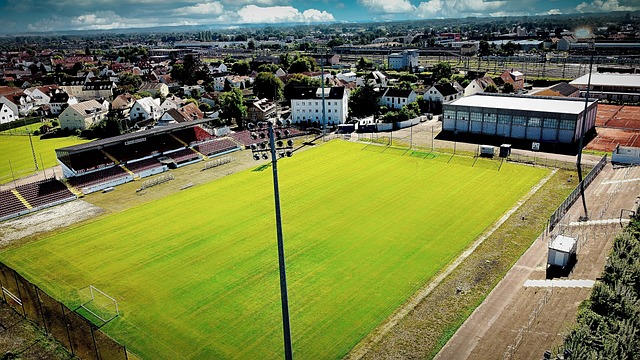 塞尔吉尼奥国足报恢复训练 有望热身赛替补出战.